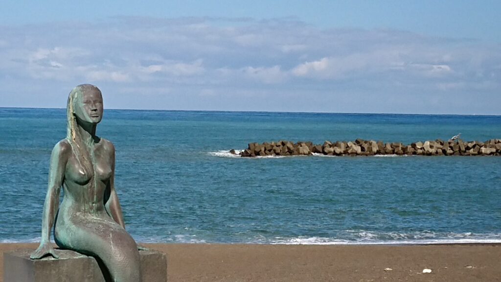 新潟の絶景ホテル・旅館　ロイヤルホテル小林　徒歩3分の鵜の浜海岸