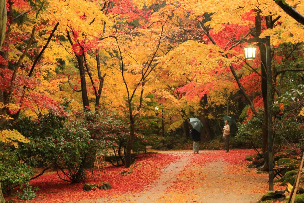 新潟の絶景ホテル・旅館　環翠楼　紅葉が楽しめる庭園